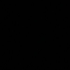 Meet your Posher, Gissele